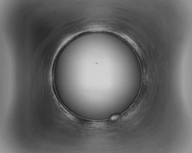 X0000116621191200912181259