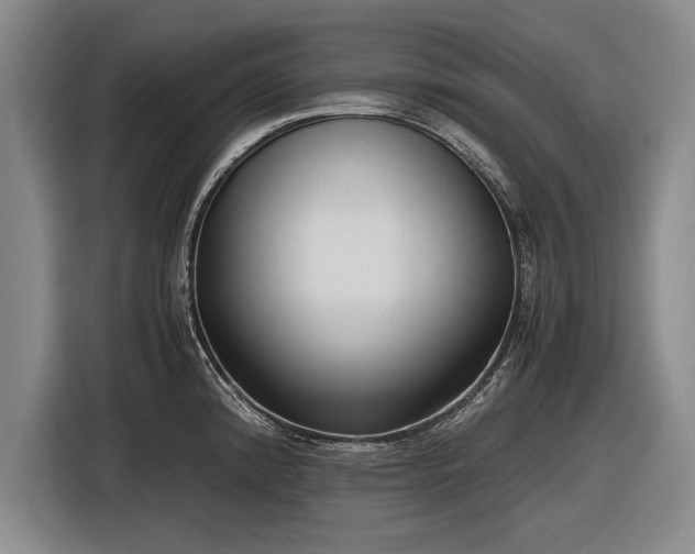 X0000116621192200912181259