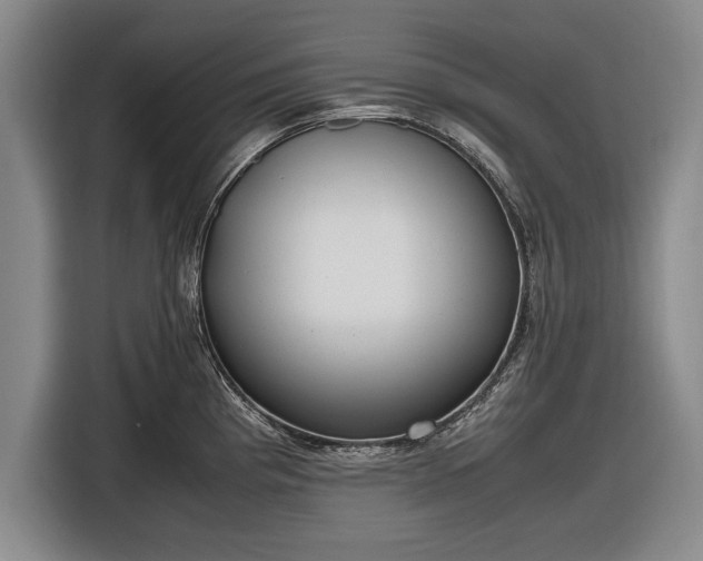 X0000116621193200912181259