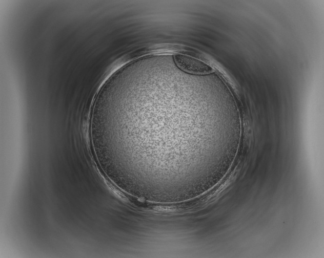 X0000116621194200912181259