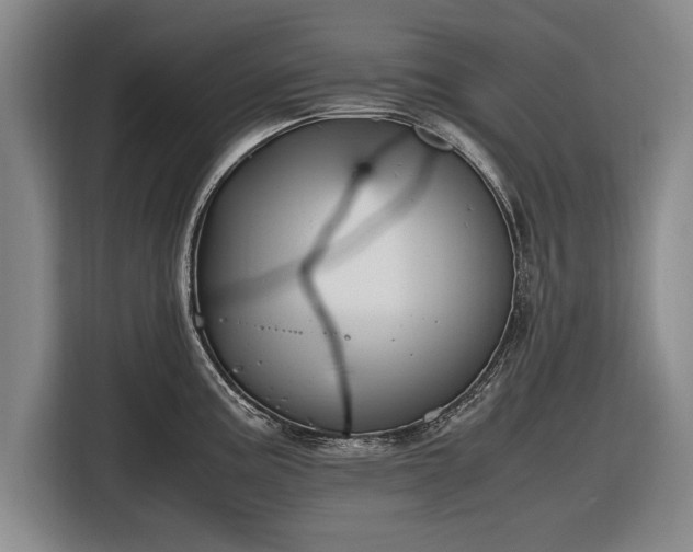 X0000116621195200912181259