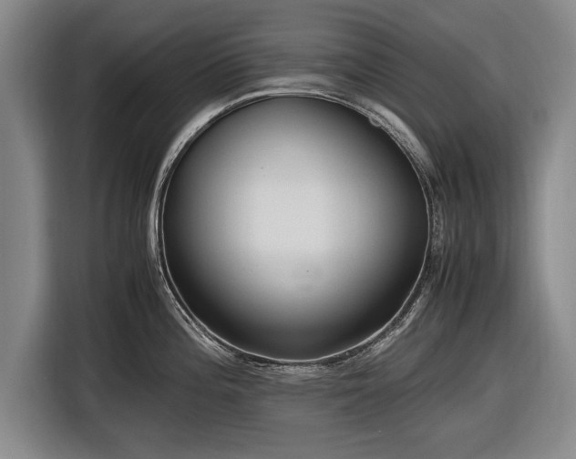 X0000116621196200912181259