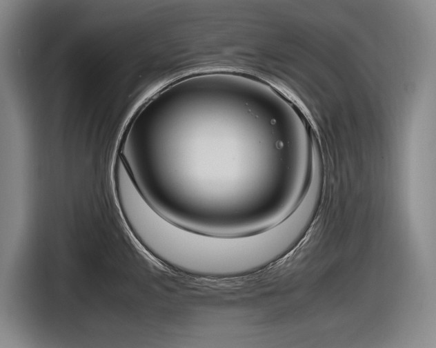 X0000116621197200912181259