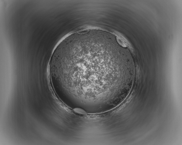 X0000116621198200912181259