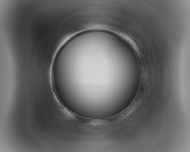 X0000116621199200912181258