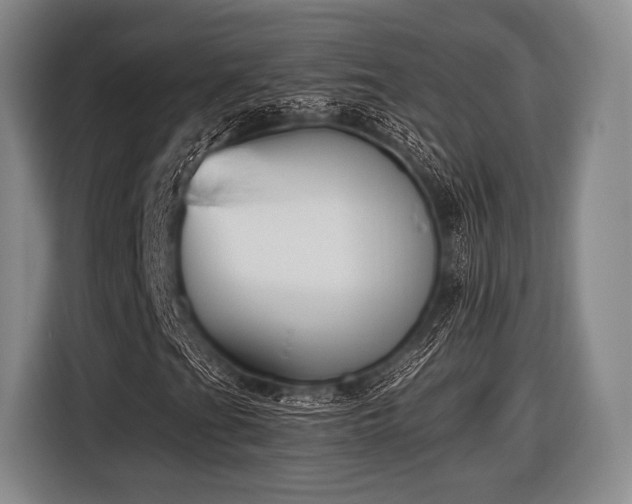 X0000116621201200912181258