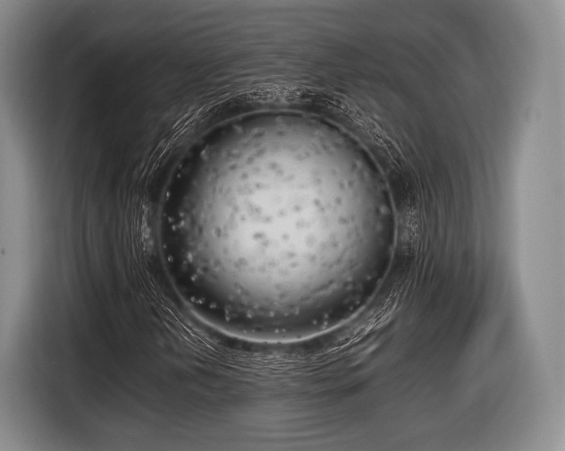 X0000116621202200912181258