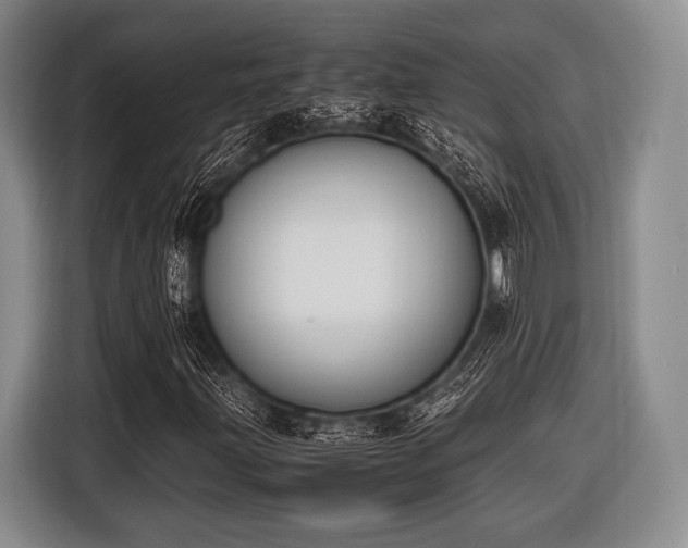 X0000116621203200912181258