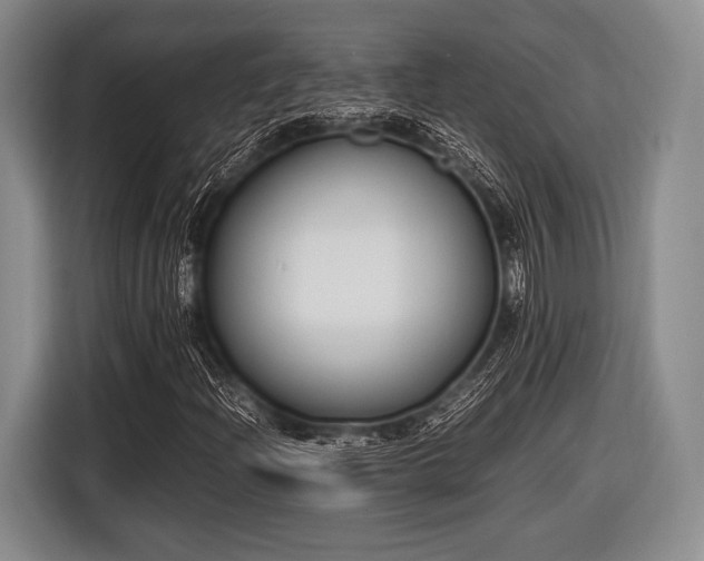 X0000116621204200912181258