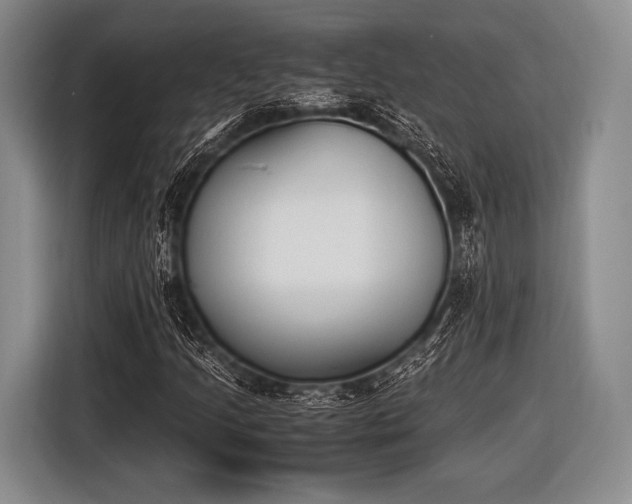 X0000116621205200912181258
