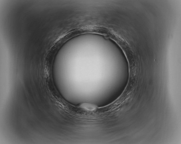 X0000116621206200912181258