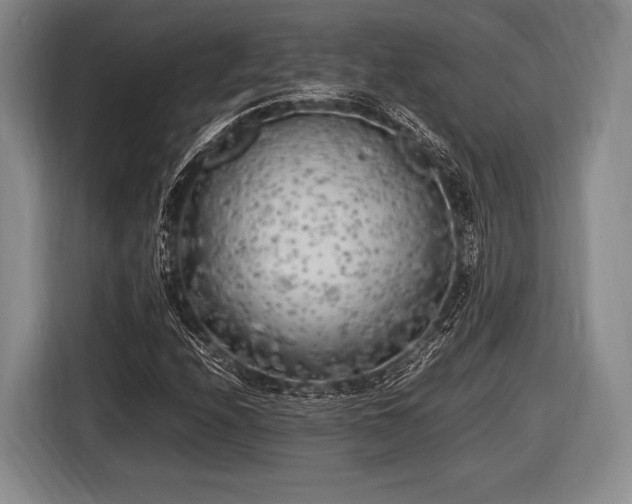 X0000116621208200912181258