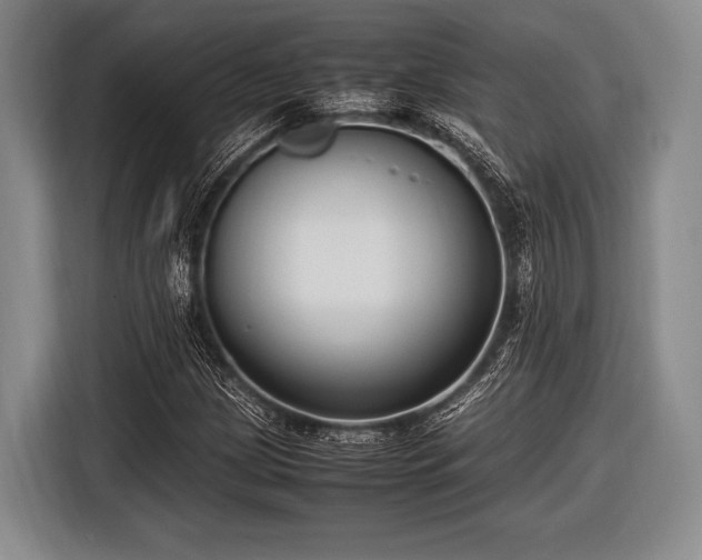 X0000116621209200912181258