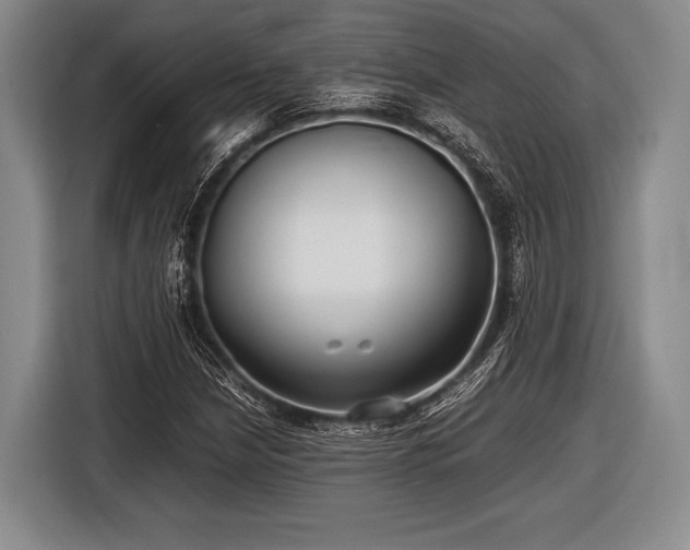 X0000116621210200912181258