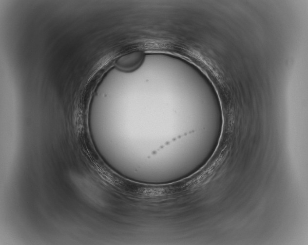 X0000116621211200912181258