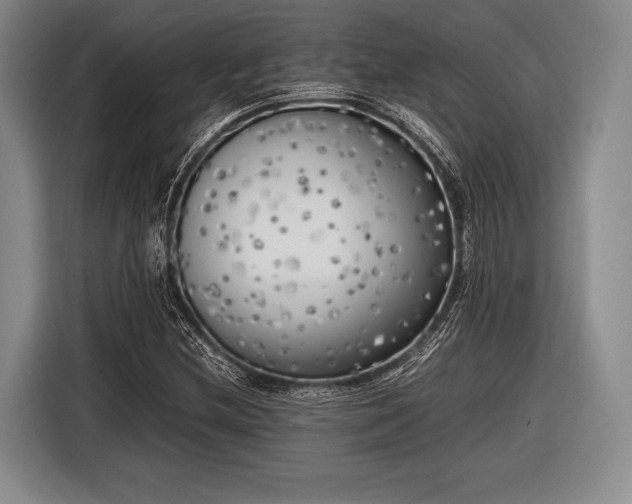 X0000116621212200912181258