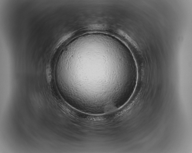 X0000116621213200912181258