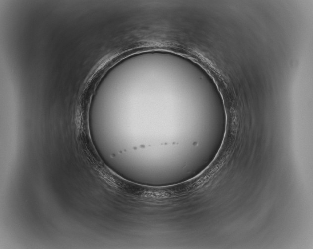 X0000116621215200912181258