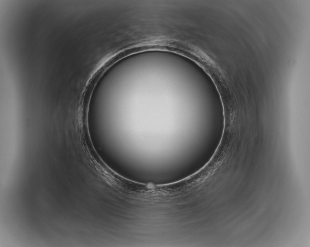 X0000116621216200912181258