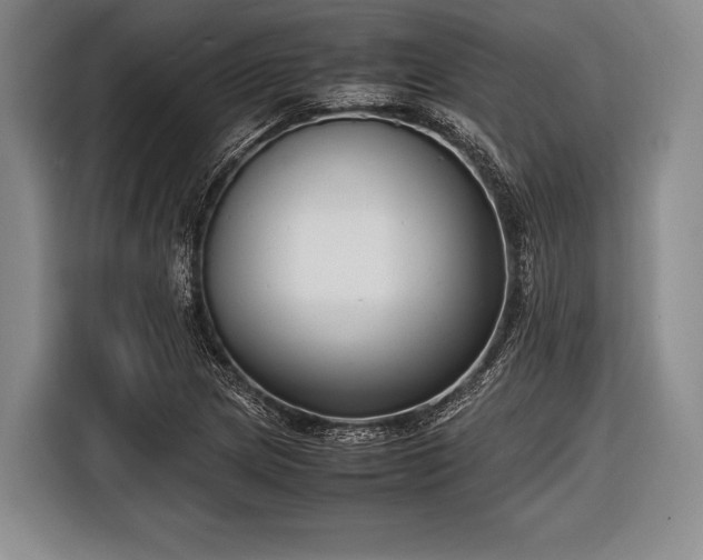 X0000116621217200912181258
