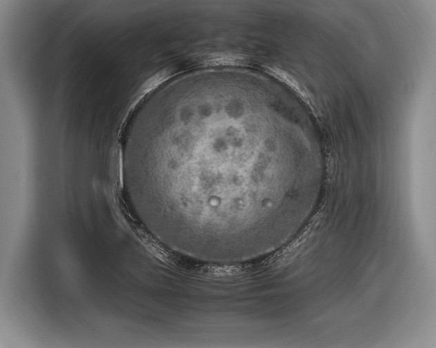 X0000116621219200912181258