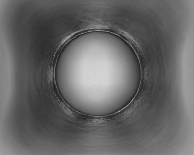 X0000116621220200912181258