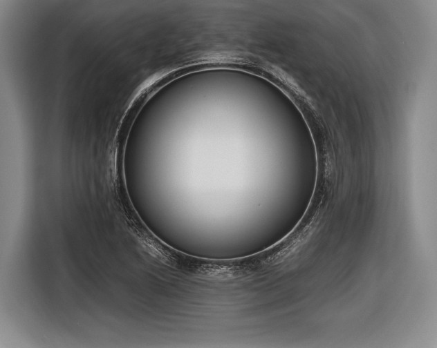 X0000116621222200912181258