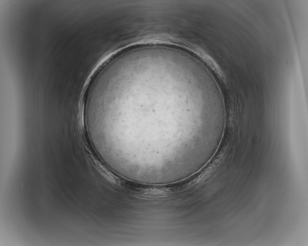 X0000116621224200912181258