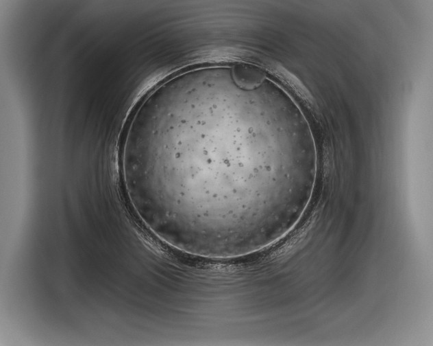 X0000116621226200912181258