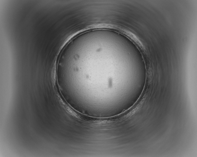 X0000116621228200912181258