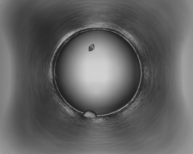 X0000116621230200912181258
