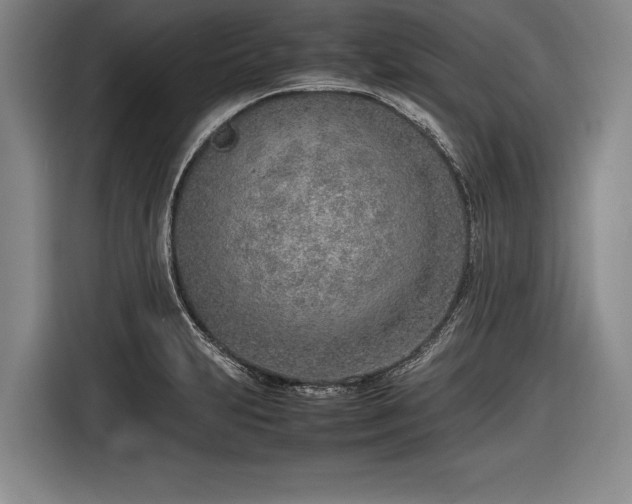 X0000116621231200912181258