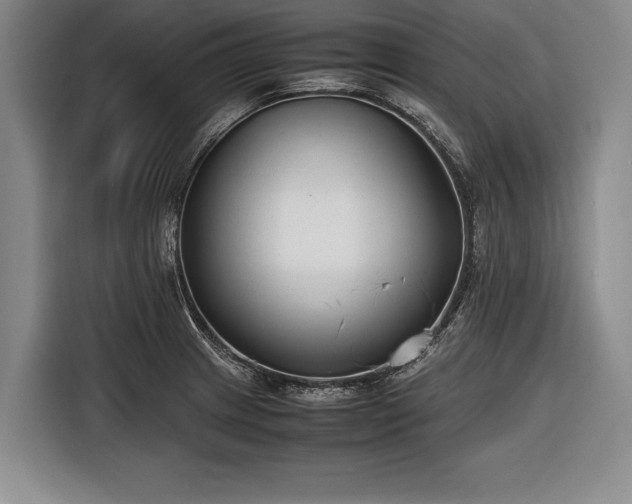 X0000116621233200912181258