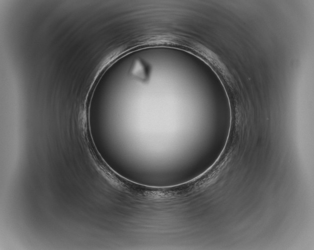X0000116621234200912181258