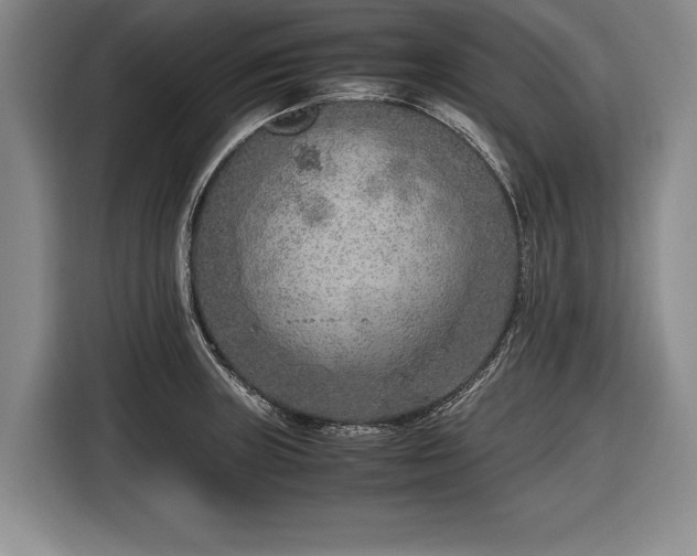 X0000116621235200912181258