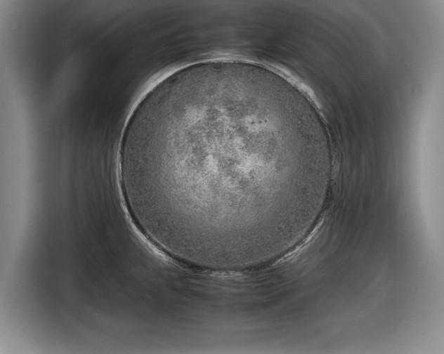 X0000116621239200912181258