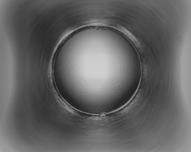 X0000116621240200912181258