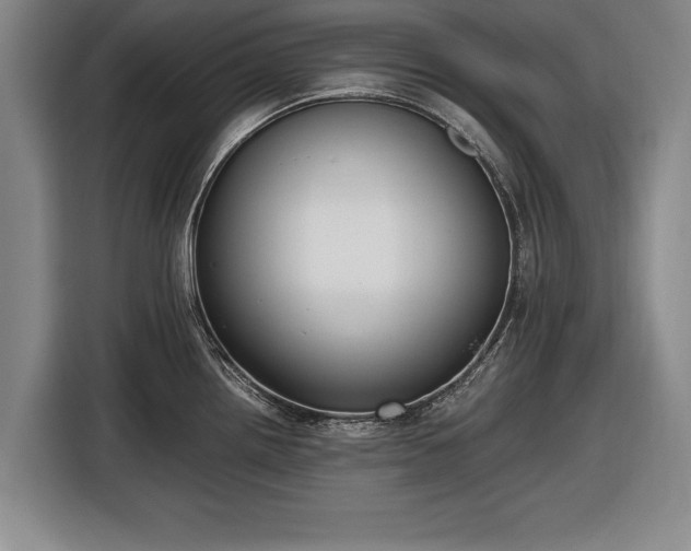 X0000116621242200912181258