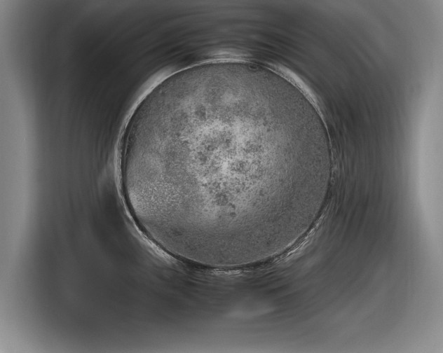 X0000116621243200912181258