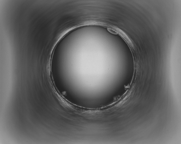 X0000116621244200912181258