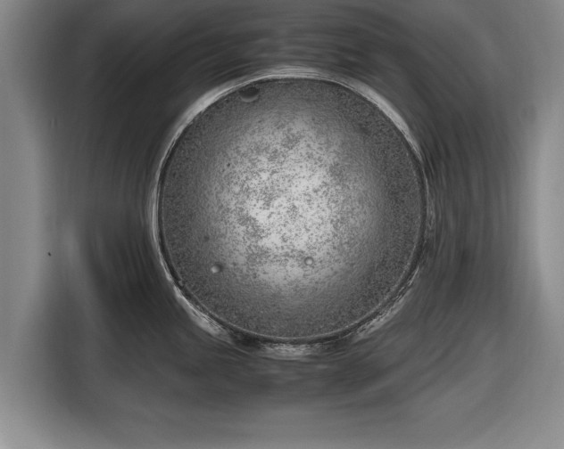 X0000116621245200912181258
