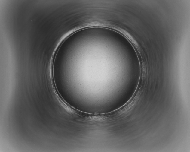 X0000116621246200912181258