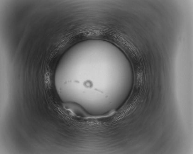 X0000116621250200912181258