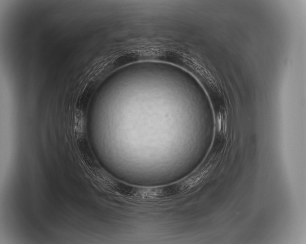 X0000116621251200912181258