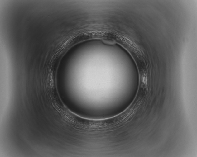 X0000116621252200912181258