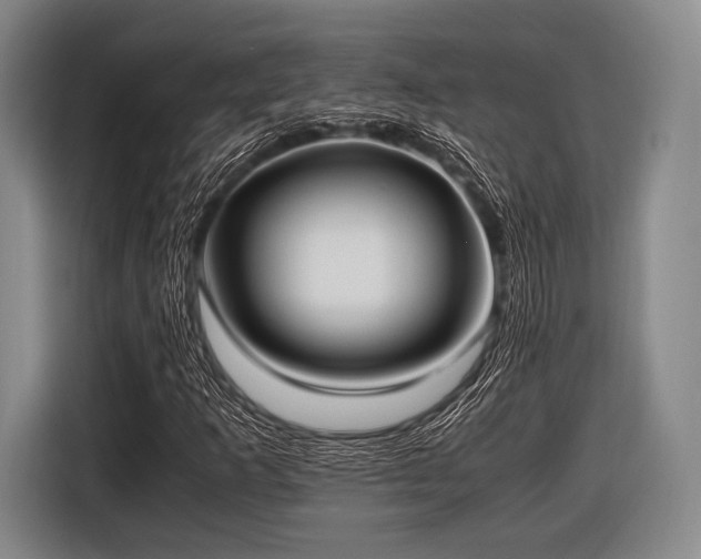 X0000116621253200912181258