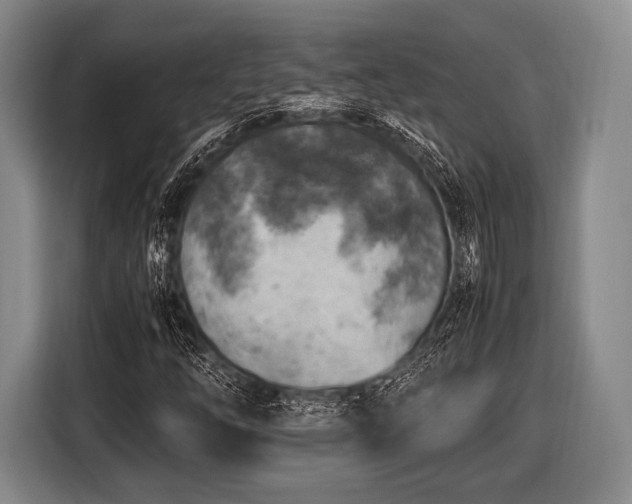 X0000116621254200912181258