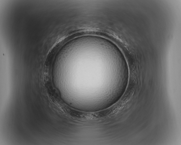 X0000116621255200912181258