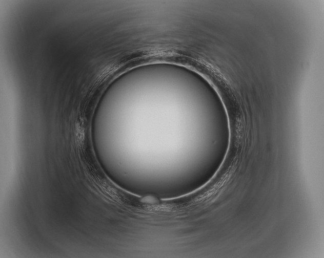 X0000116621257200912181258