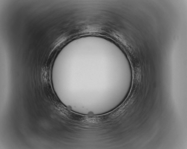 X0000116621258200912181258